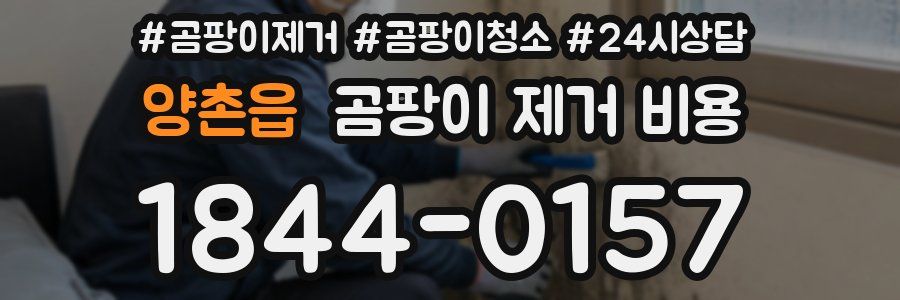 양촌읍 곰팡이 제거 비용