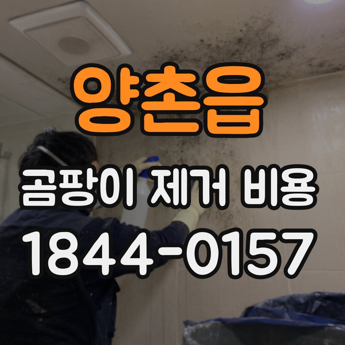 양촌읍 곰팡이 제거 비용