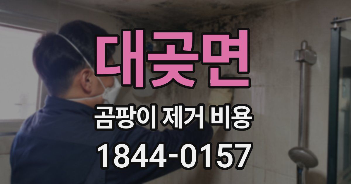 대곶면 곰팡이 제거 비용