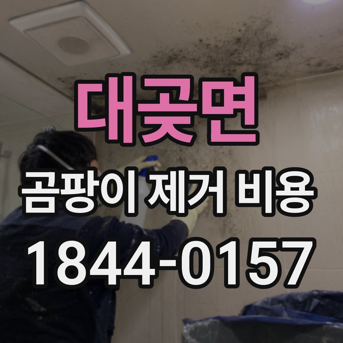 대곶면 곰팡이 제거 비용