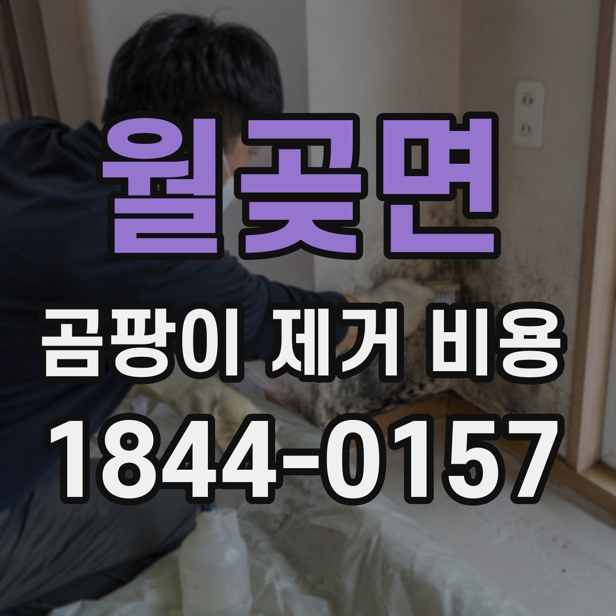 월곶면 곰팡이 제거 비용