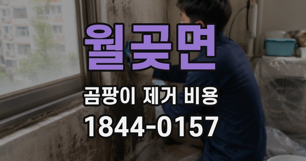 월곶면 곰팡이 제거 비용
