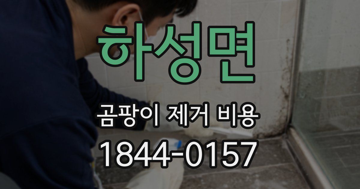 하성면 곰팡이 제거 비용