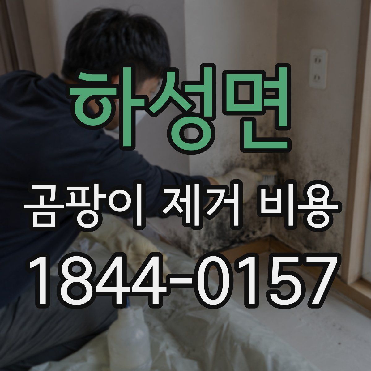 하성면 곰팡이 제거 비용