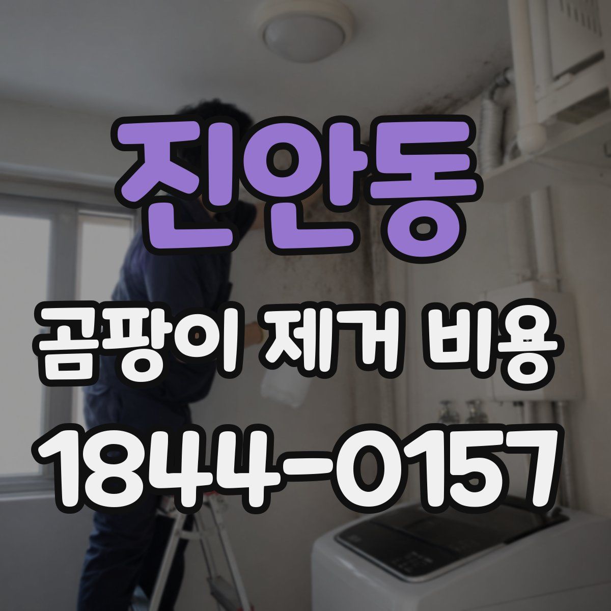 진안동 곰팡이 제거 비용