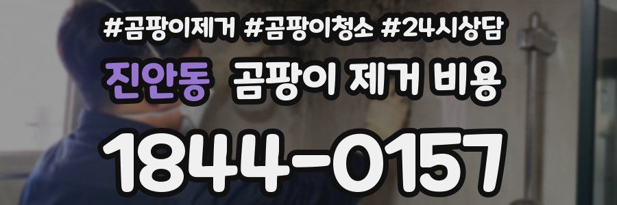 진안동 곰팡이 제거 비용