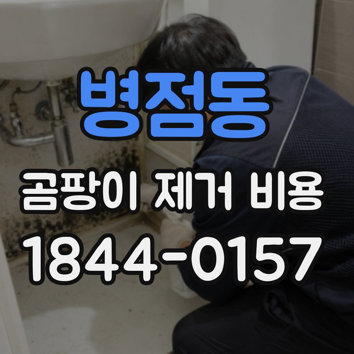 병점동 곰팡이 제거 비용