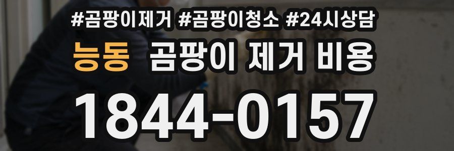 능동 곰팡이 제거 비용