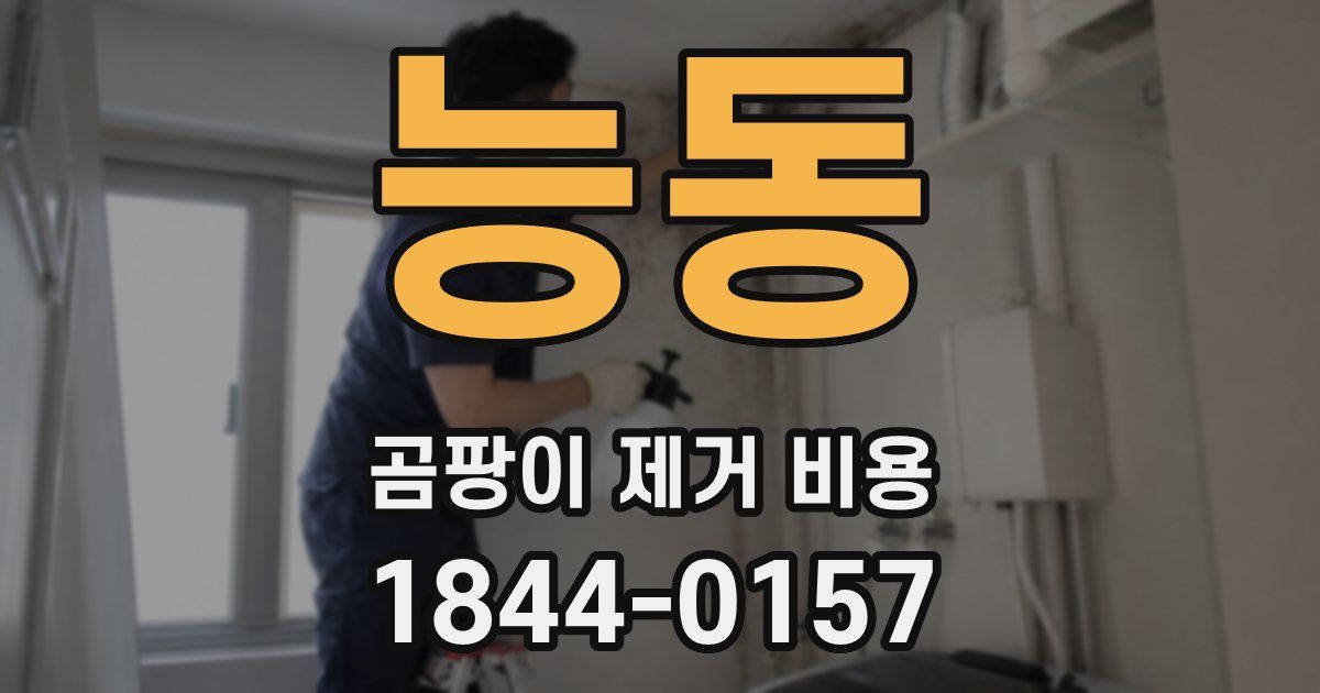 능동 곰팡이 제거 비용