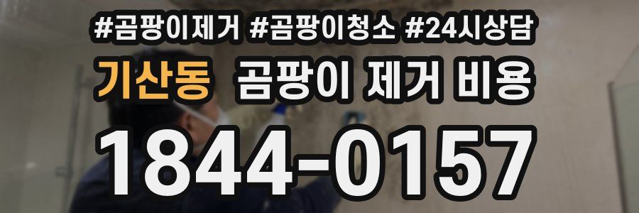 기산동 곰팡이 제거 비용