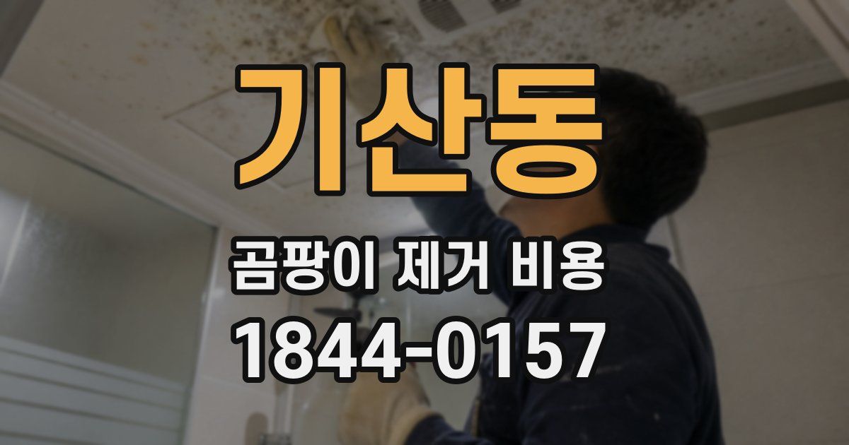 기산동 곰팡이 제거 비용