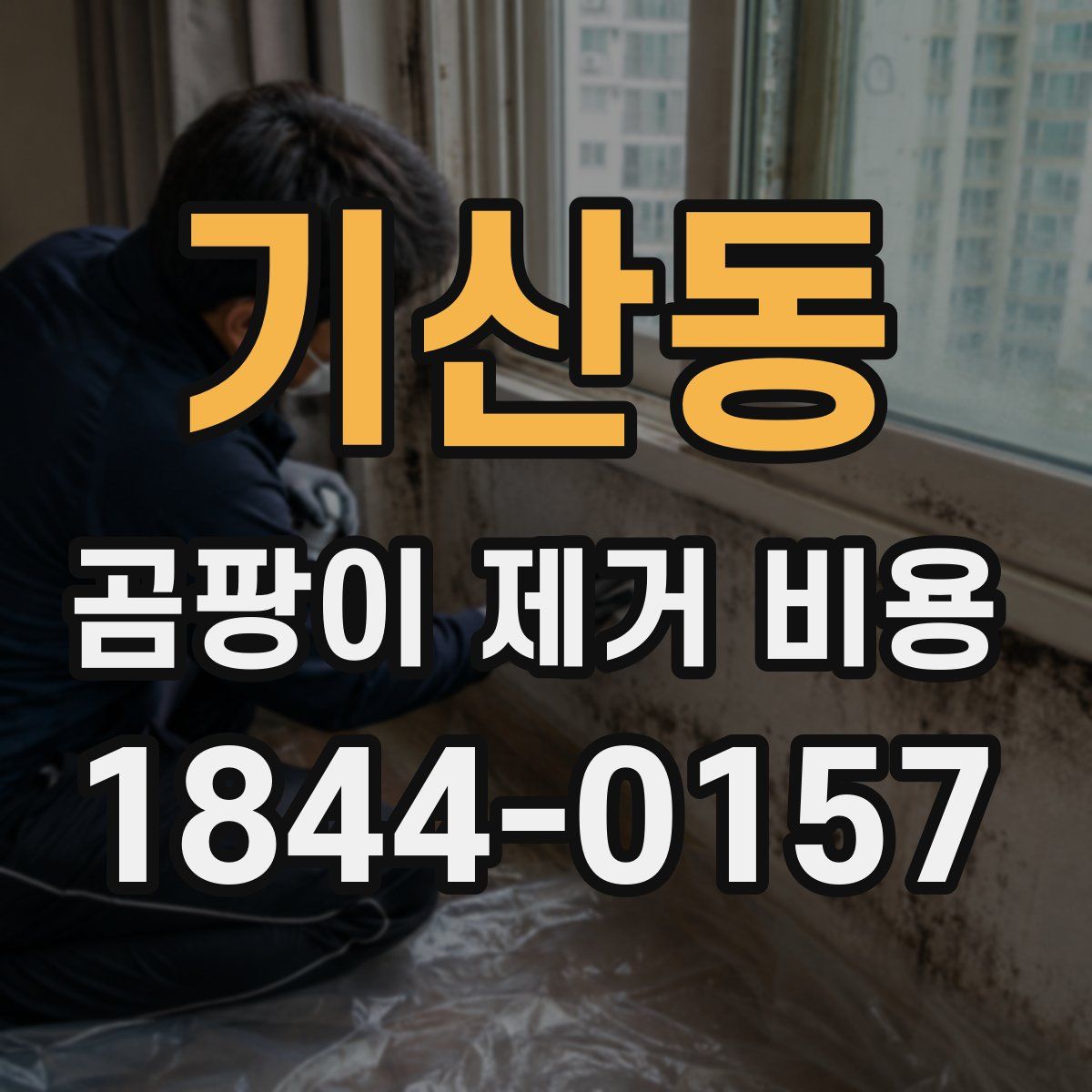 기산동 곰팡이 제거 비용