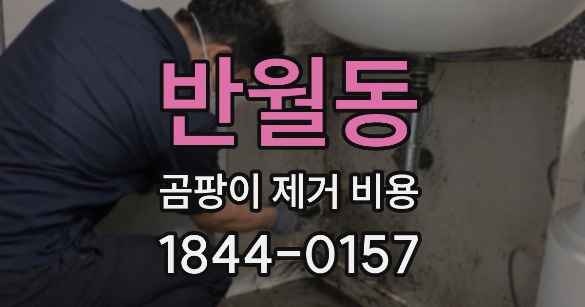반월동 곰팡이 제거 비용