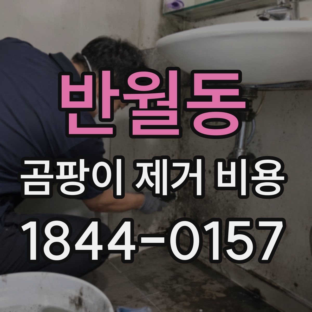 반월동 곰팡이 제거 비용