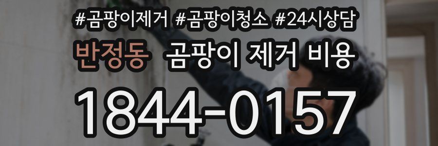 반정동 곰팡이 제거 비용