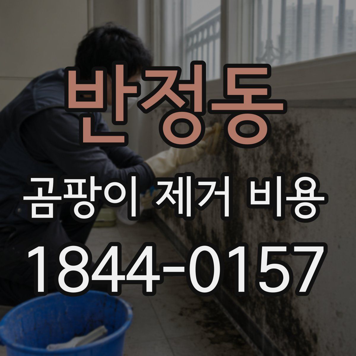 반정동 곰팡이 제거 비용