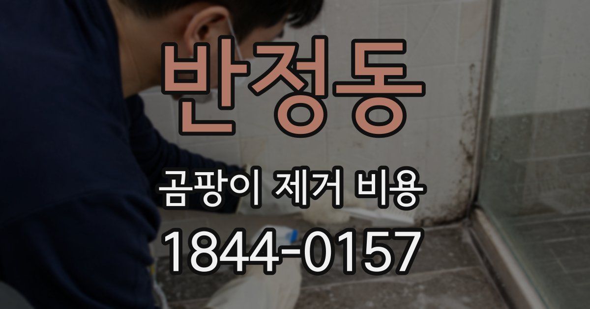 반정동 곰팡이 제거 비용