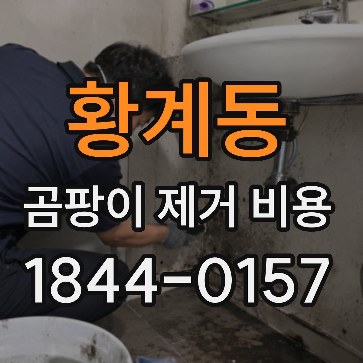 황계동 곰팡이 제거 비용