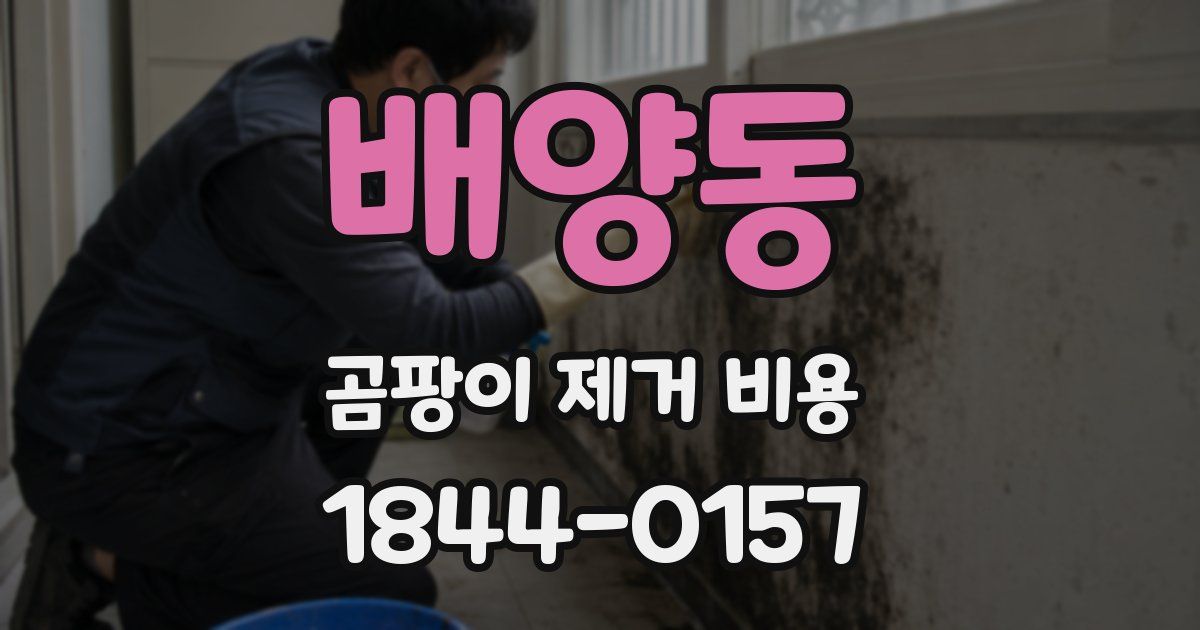 배양동 곰팡이 제거 비용