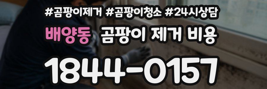 배양동 곰팡이 제거 비용