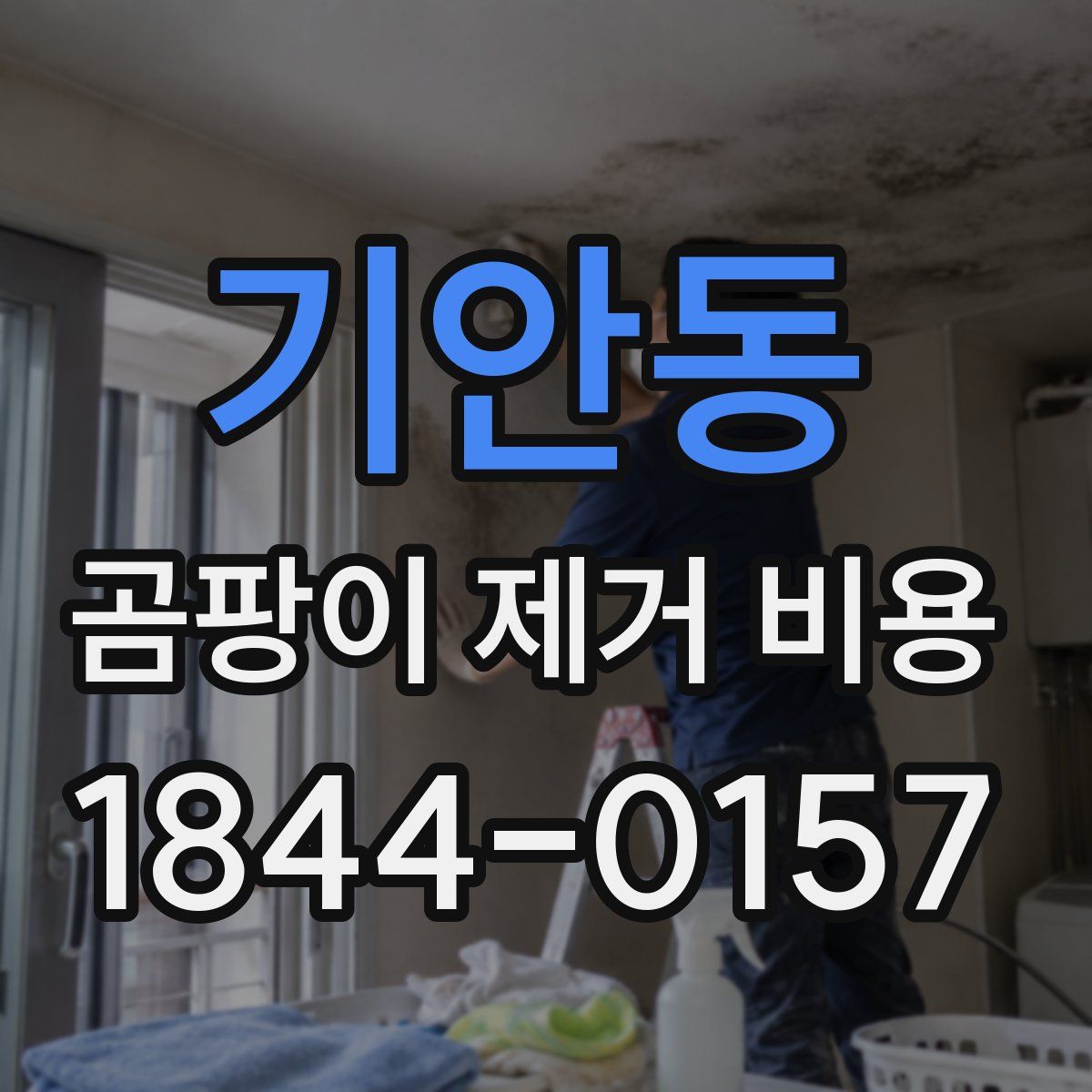 기안동 곰팡이 제거 비용