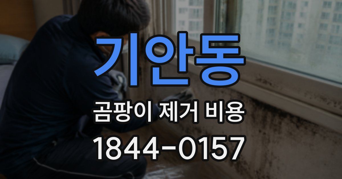 기안동 곰팡이 제거 비용