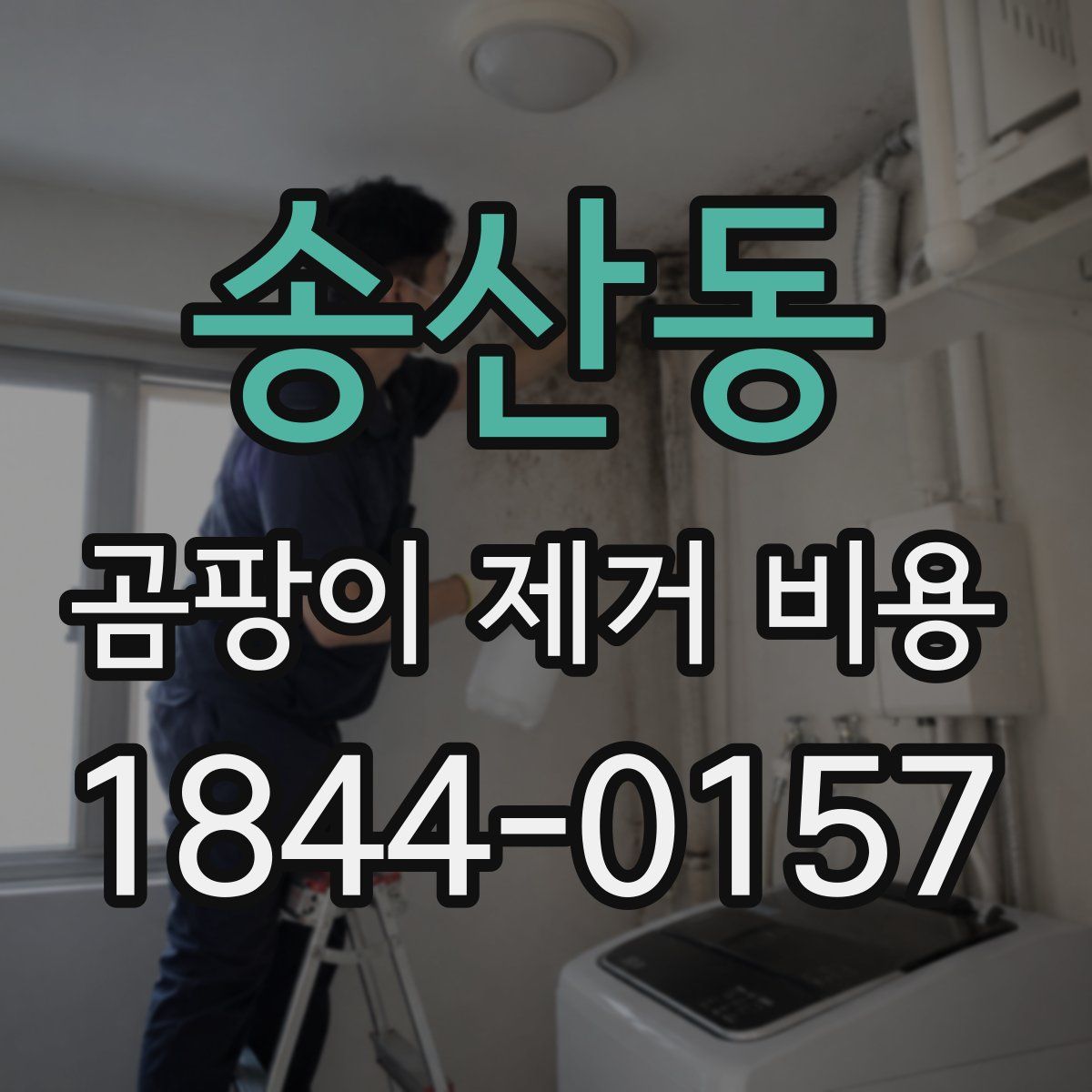 송산동 곰팡이 제거 비용