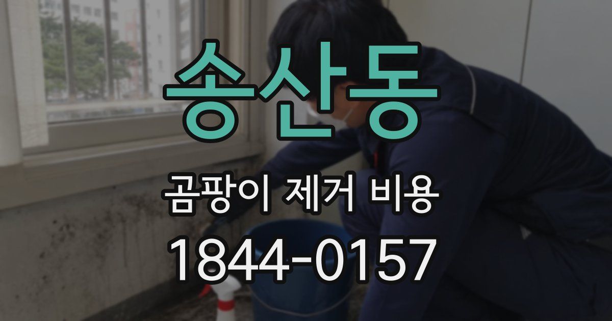 송산동 곰팡이 제거 비용