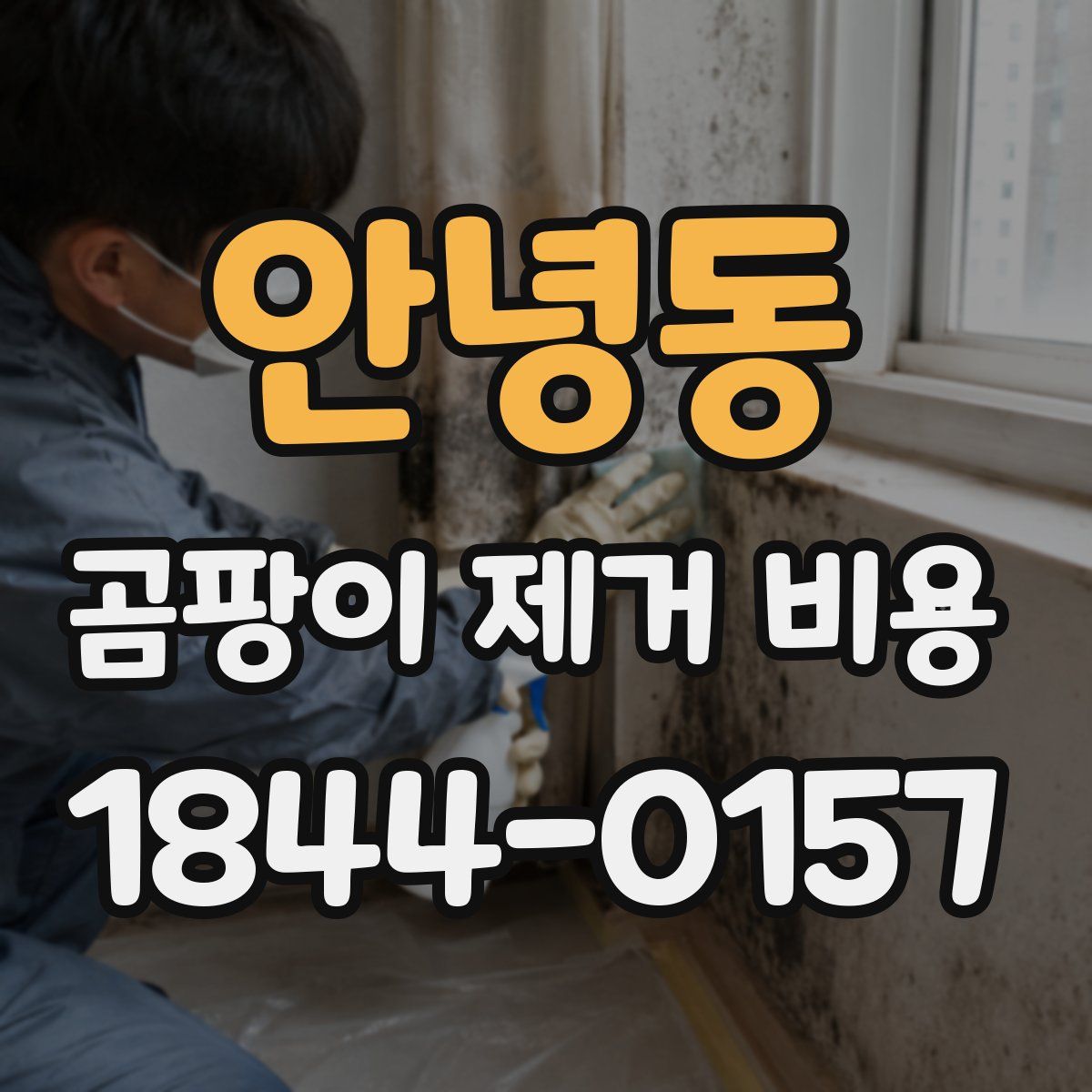 안녕동 곰팡이 제거 비용