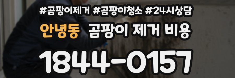 안녕동 곰팡이 제거 비용