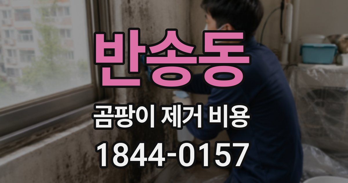 반송동 곰팡이 제거 비용