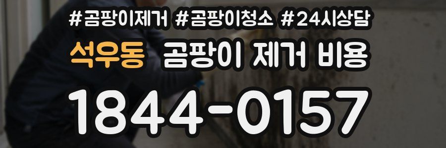 석우동 곰팡이 제거 비용