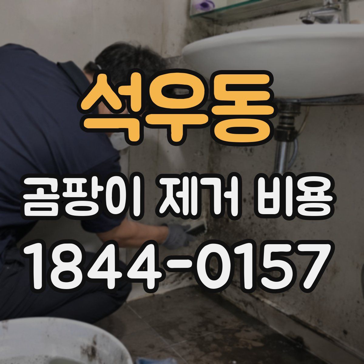 석우동 곰팡이 제거 비용