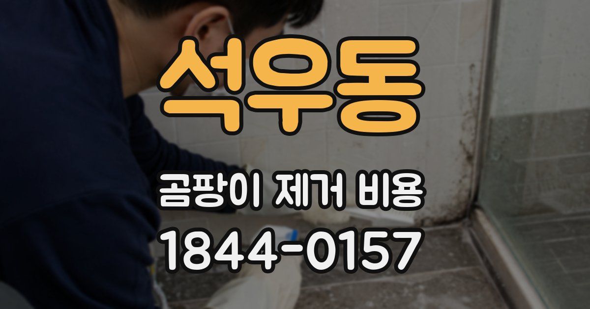 석우동 곰팡이 제거 비용