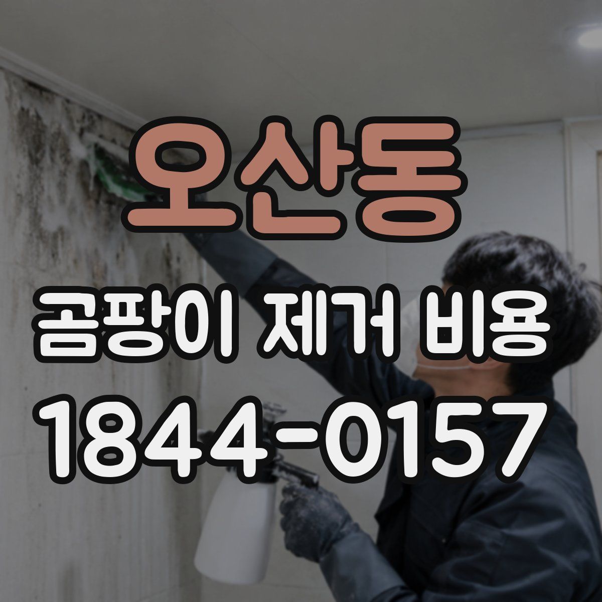 오산동 곰팡이 제거 비용