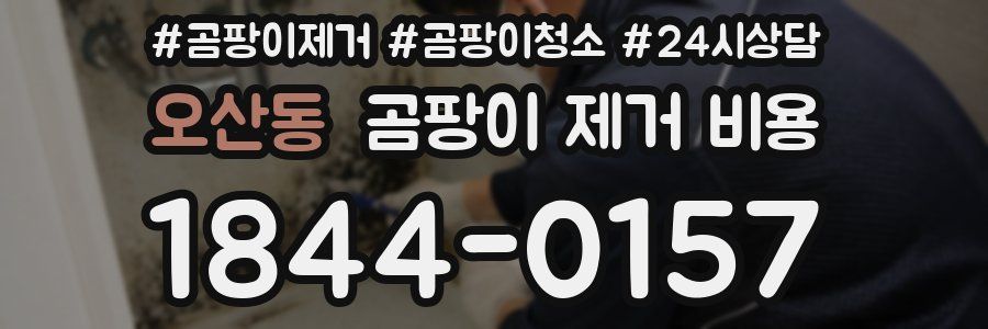 오산동 곰팡이 제거 비용