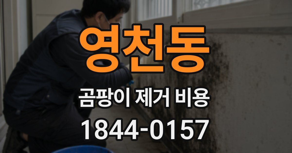 영천동 곰팡이 제거 비용