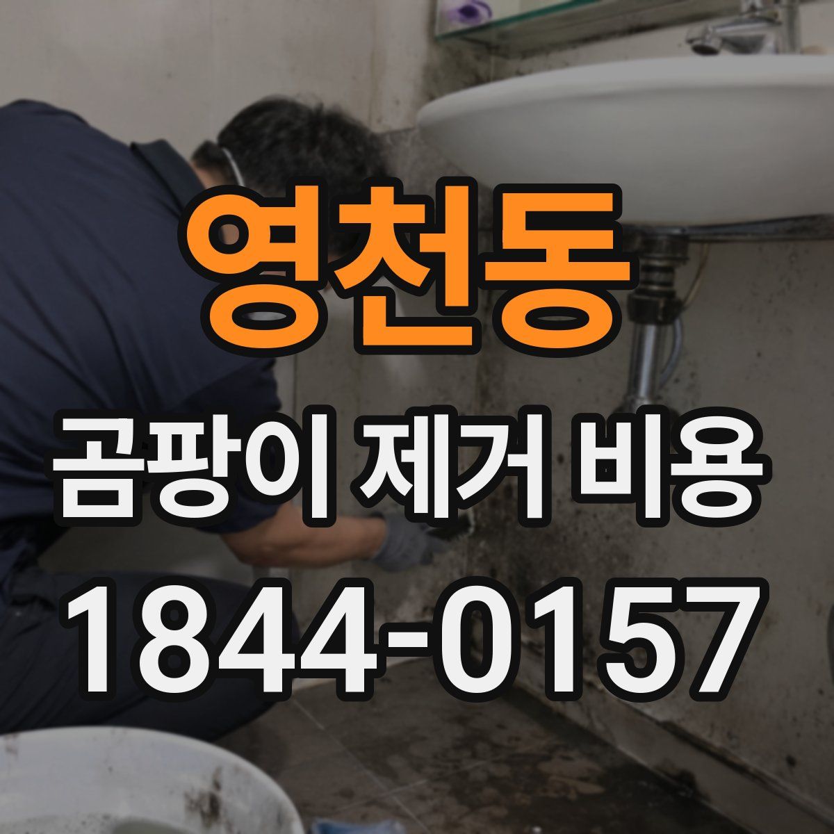 영천동 곰팡이 제거 비용