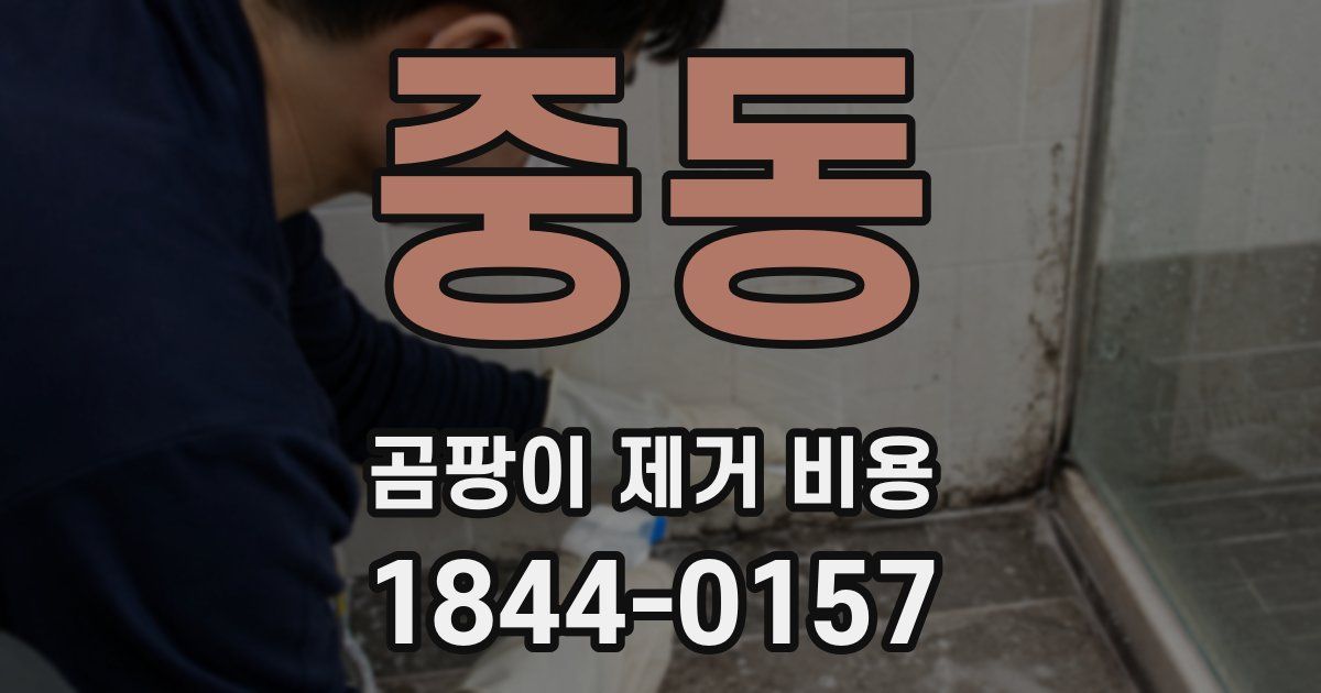 중동 곰팡이 제거 비용