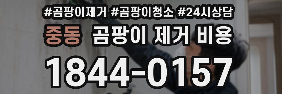 중동 곰팡이 제거 비용