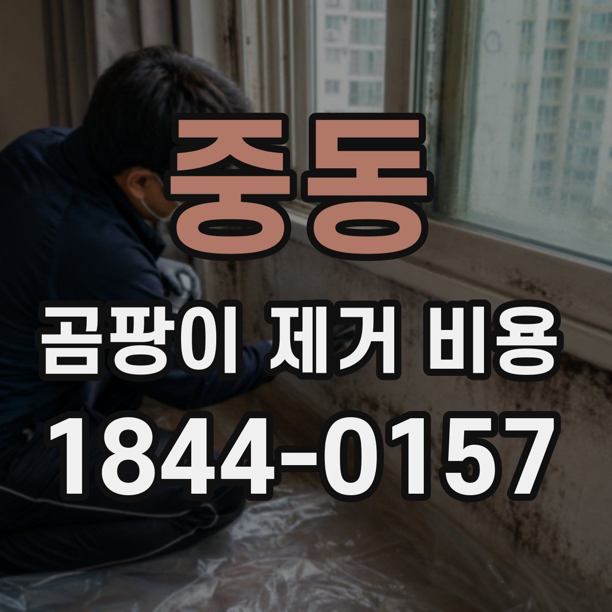 중동 곰팡이 제거 비용