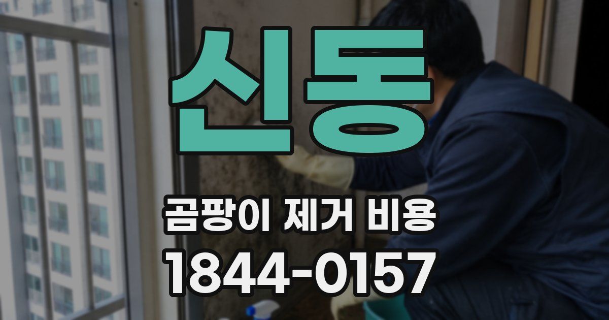 신동 곰팡이 제거 비용