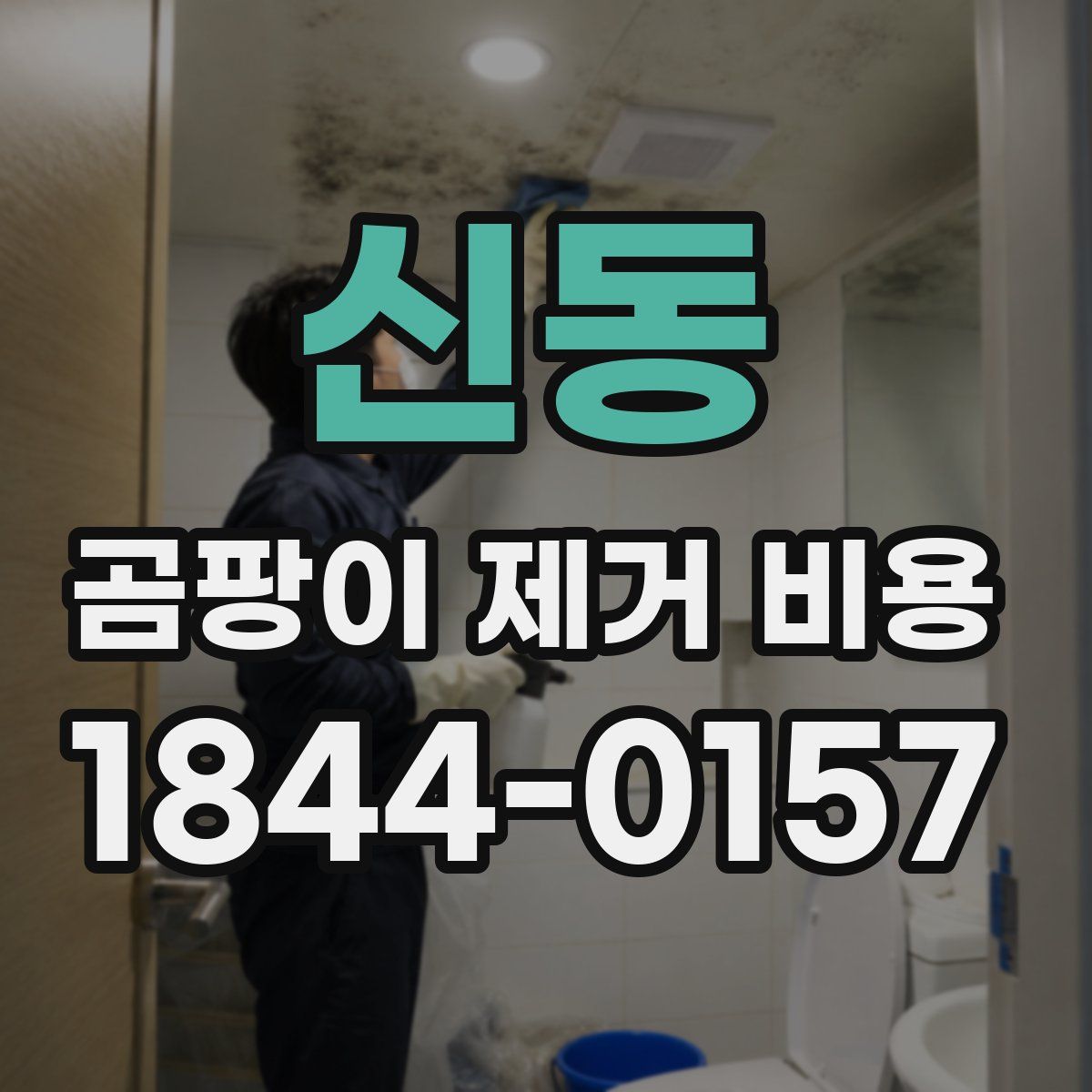 신동 곰팡이 제거 비용