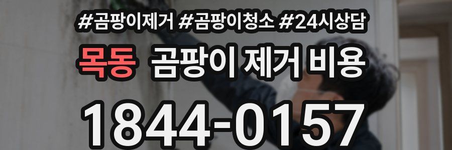 목동 곰팡이 제거 비용