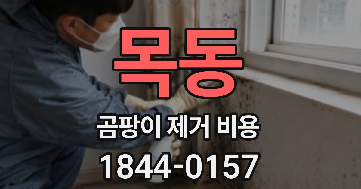 목동 곰팡이 제거 비용