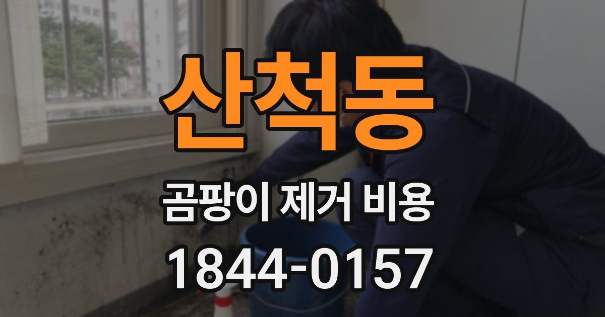 산척동 곰팡이 제거 비용