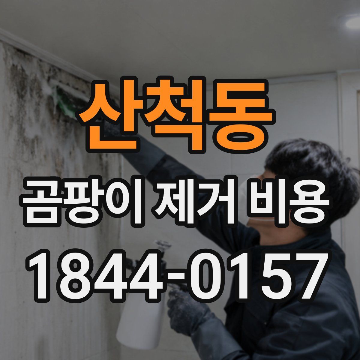 산척동 곰팡이 제거 비용