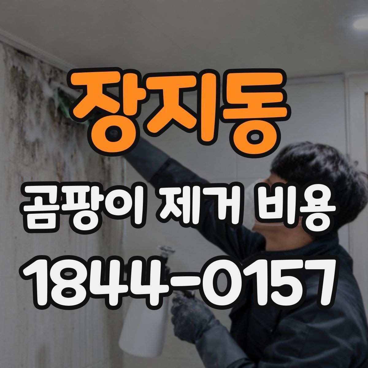 장지동 곰팡이 제거 비용 시공 범위가 넓어지는 현장 조건 정리