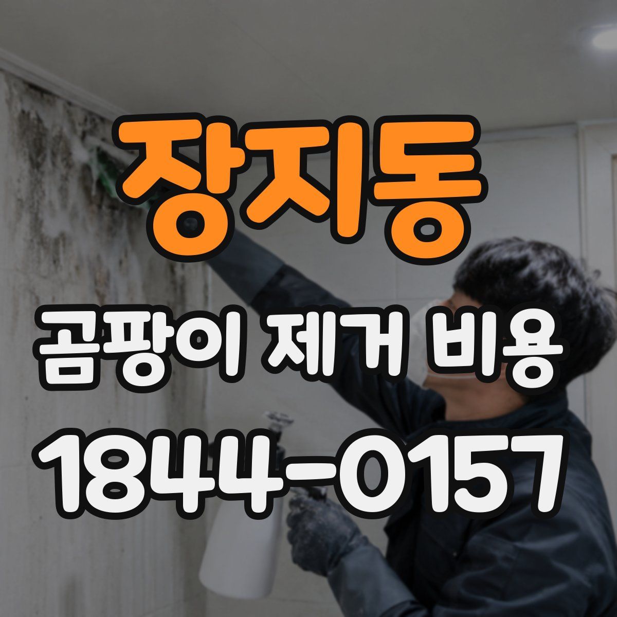 장지동 곰팡이 제거 비용