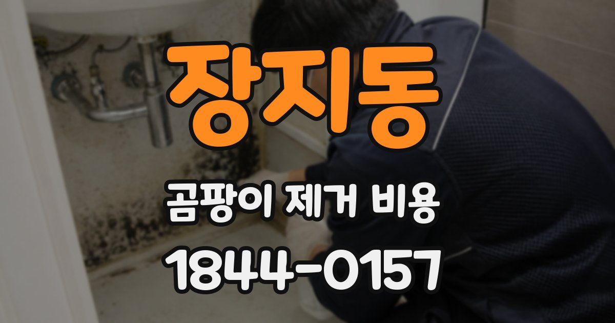 장지동 곰팡이 제거 비용